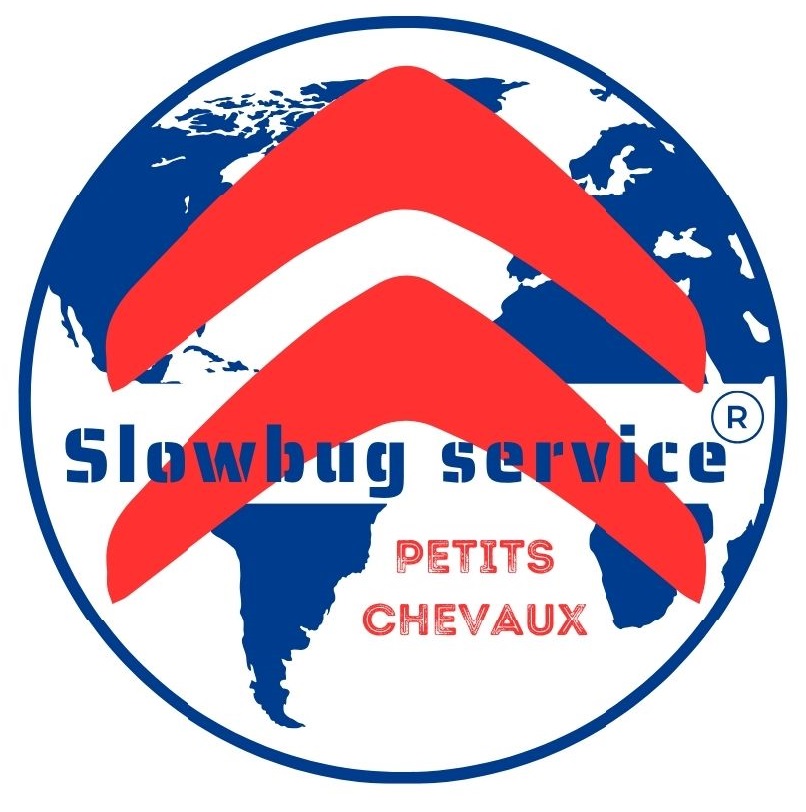 SlowBugService Auto epoca